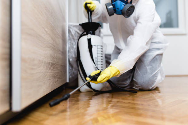 Best Pest Control Near Me in Pennington Gap, VA