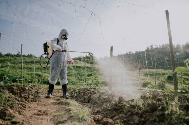 Best Pest Removal Services  in Pennington Gap, VA