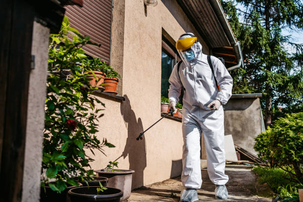 Flea Control Services in Pennington Gap, VA