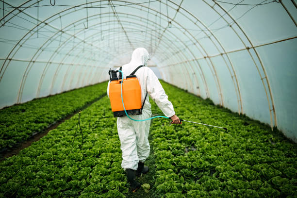 Best Pest Prevention Services  in Pennington Gap, VA