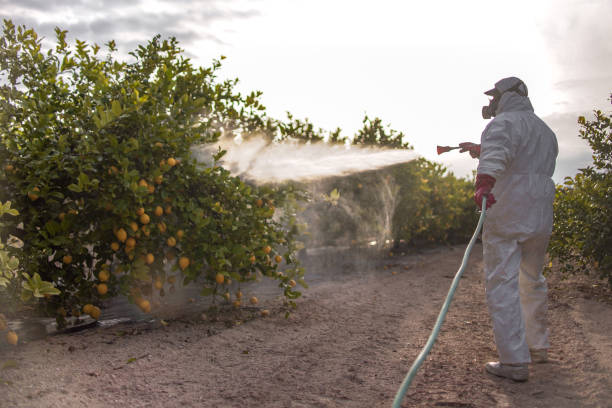 Best Pest Inspection Near Me  in Pennington Gap, VA