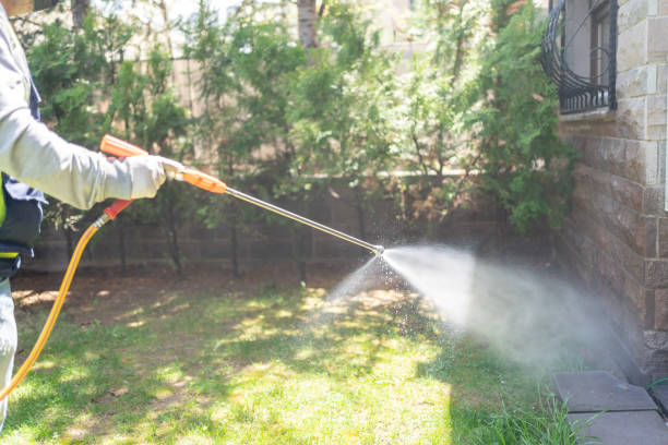 Best Insect Control  in Pennington Gap, VA